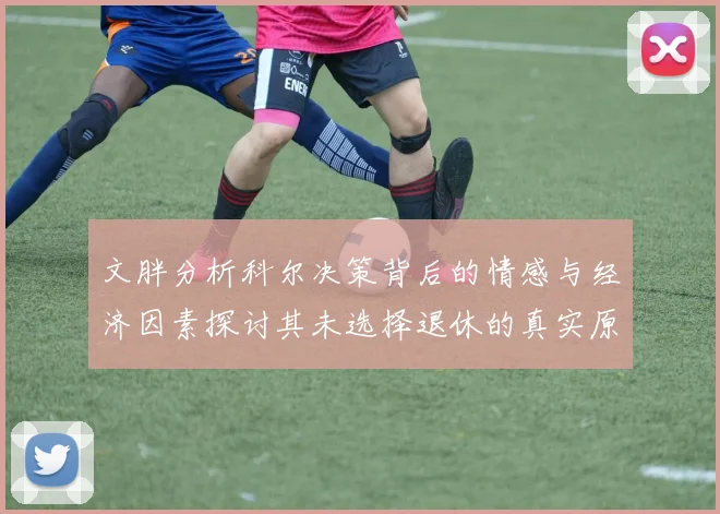 文胖分析科尔决策背后的情感与经济因素探讨其未选择退休的真实原因