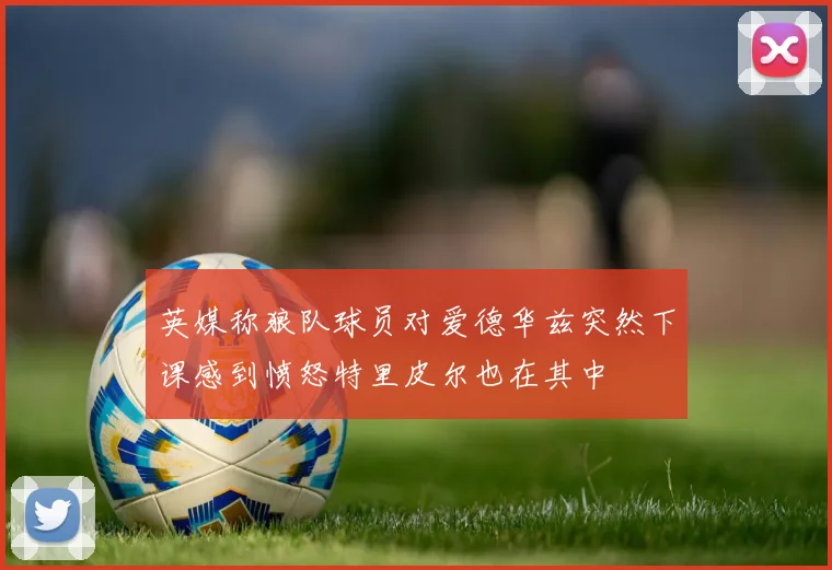 英媒称狼队球员对爱德华兹突然下课感到愤怒特里皮尔也在其中