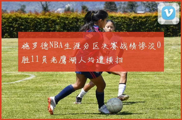 施罗德NBA生涯分区决赛战绩惨淡0胜11负老鹰湖人均遭横扫
